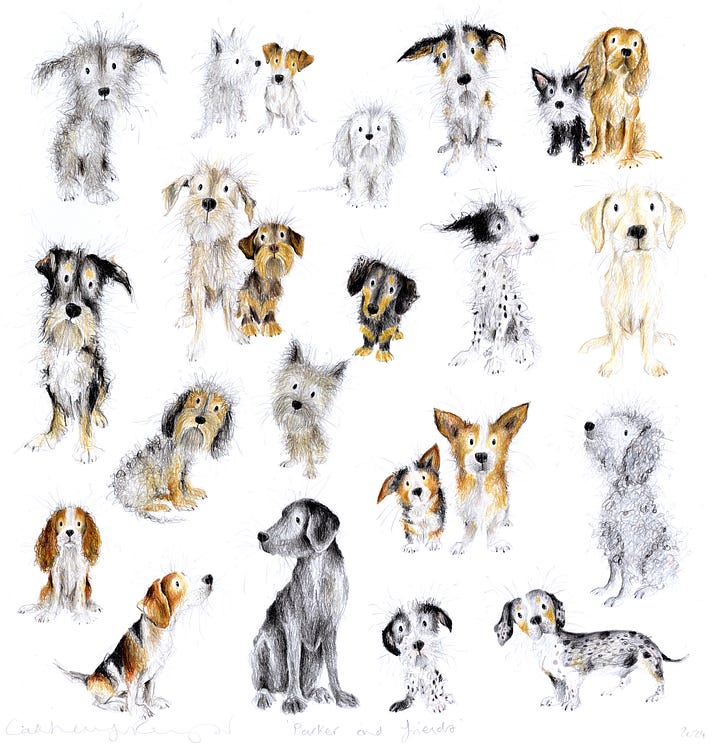 drawings of different dog breeds in a collage