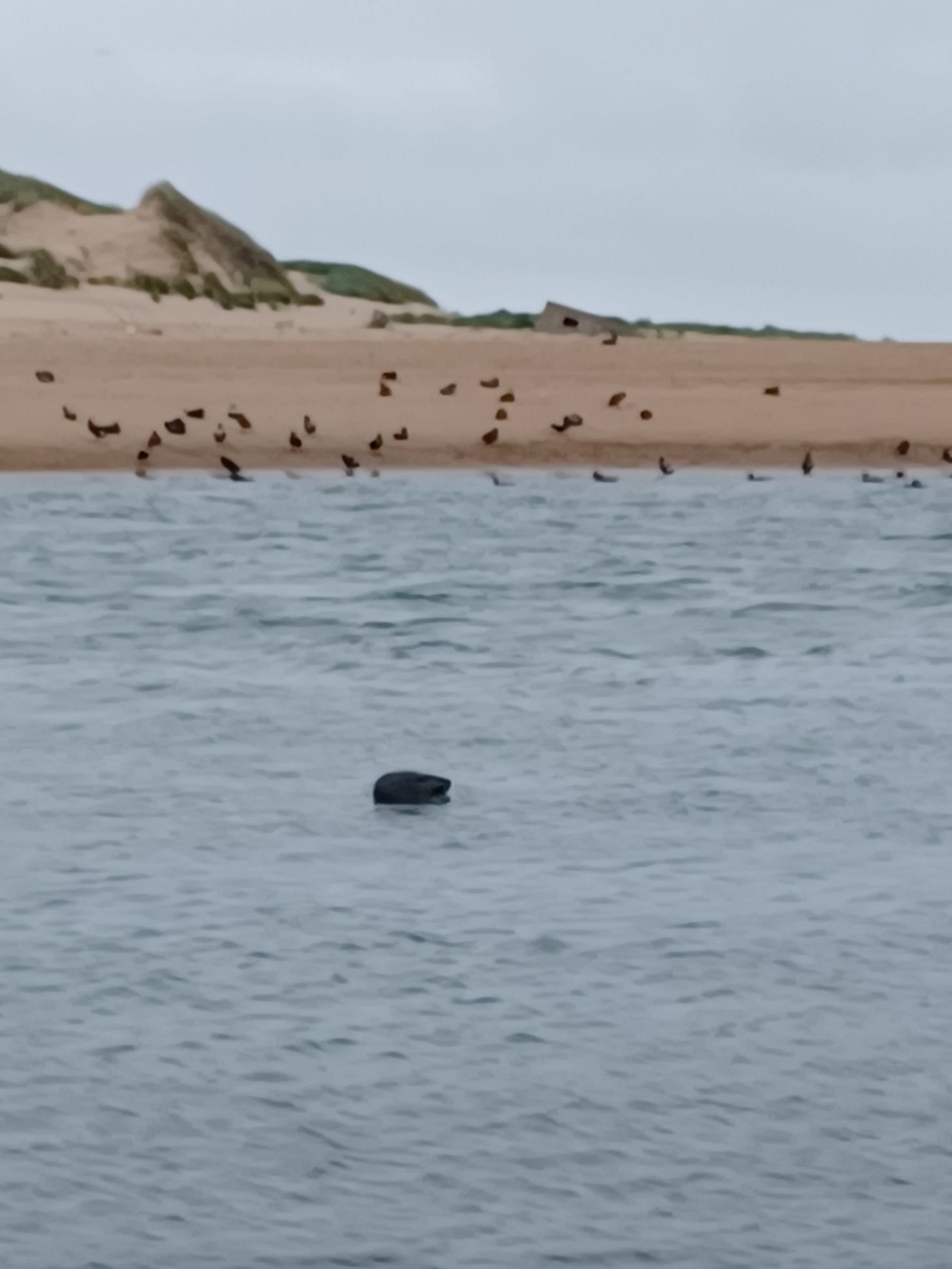 Living in Aberdeen Part 5