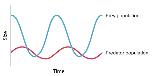 Predation ( Read ) | Biology | CK-12 Foundation