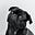CubicleDog's avatar