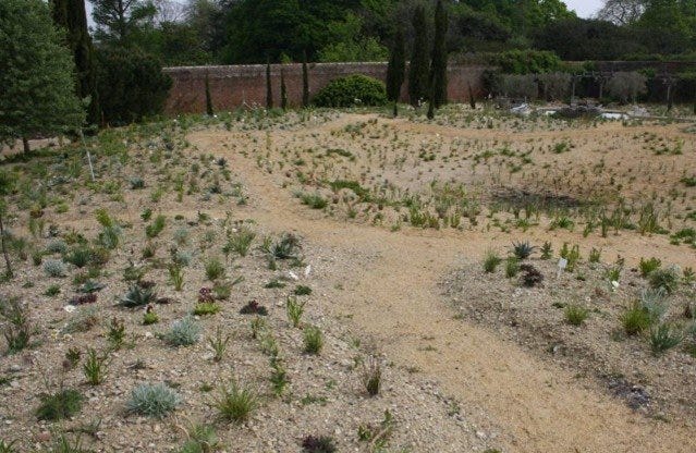 knepp walled garden