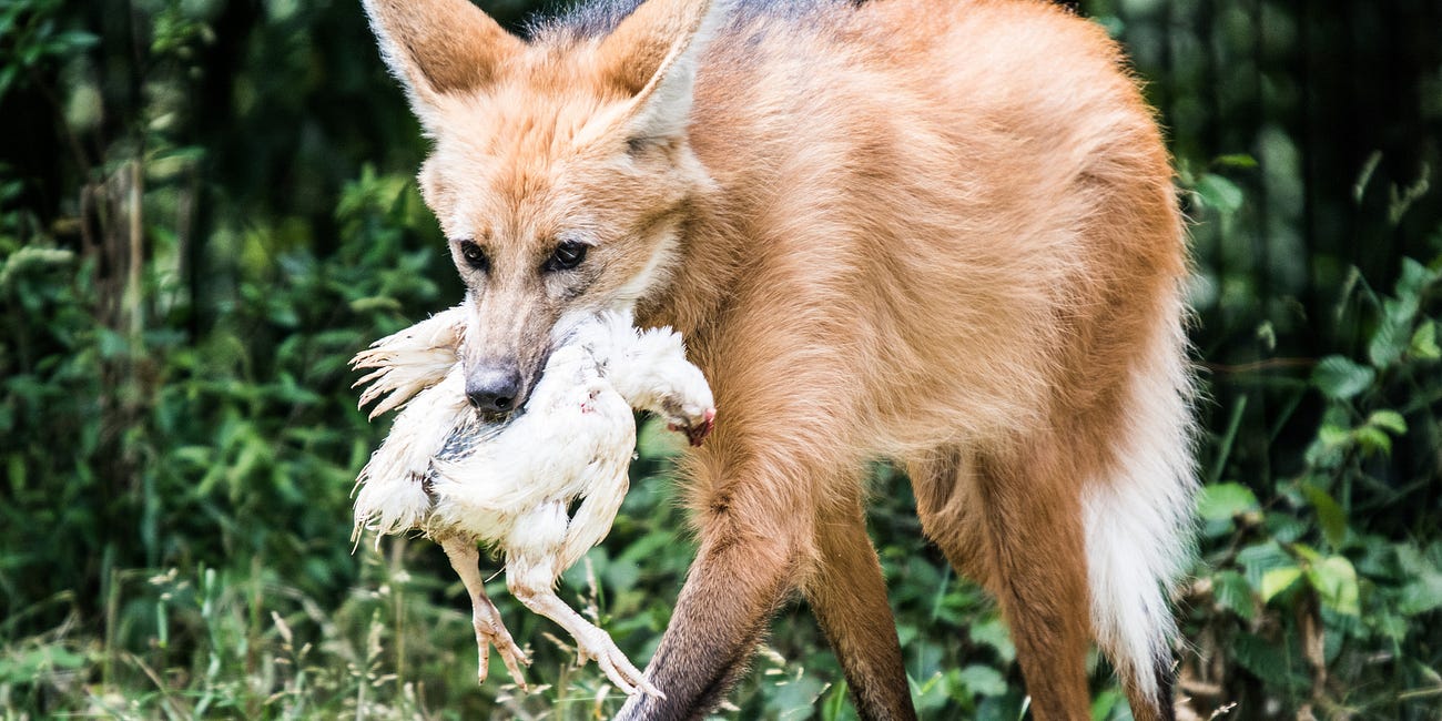trusting "the scientists" on "the science"