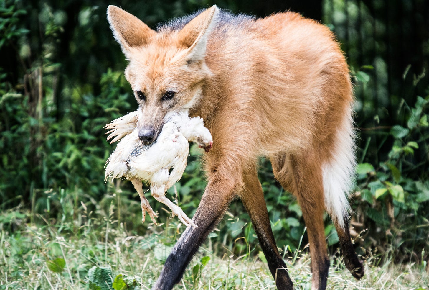 Index of /pool/images/b/bd Index of /pool/images/b/bd