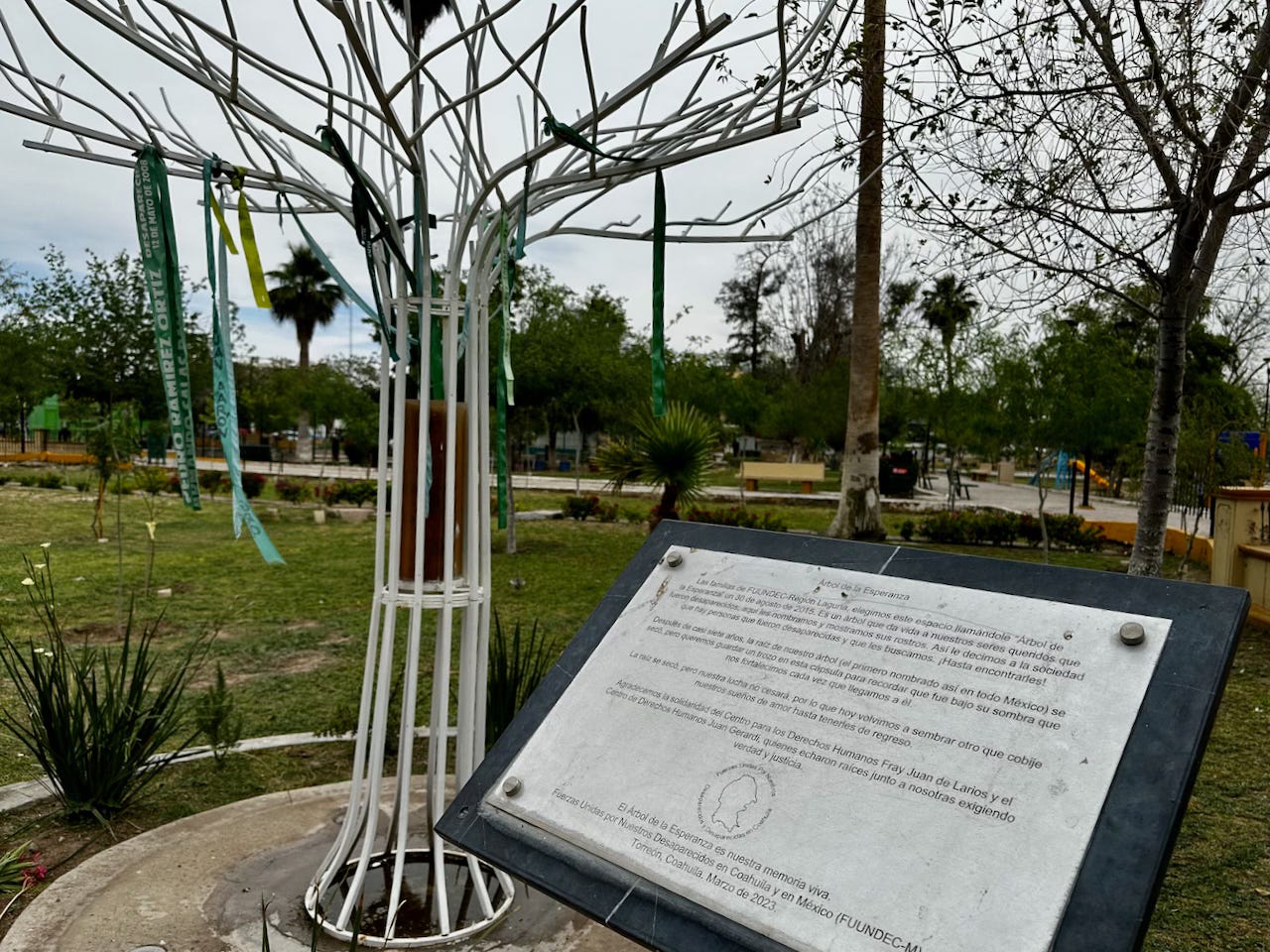 A "tree of hope" where people hang the names of those who have disappeared.