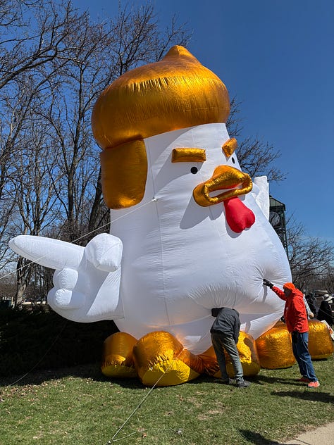 Protesters and dogs with signs at an outdoor rally