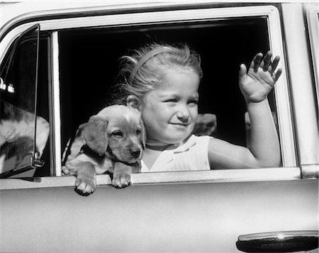 A person waving goodbye to a car Stock Photos - Page 1 : Masterfile