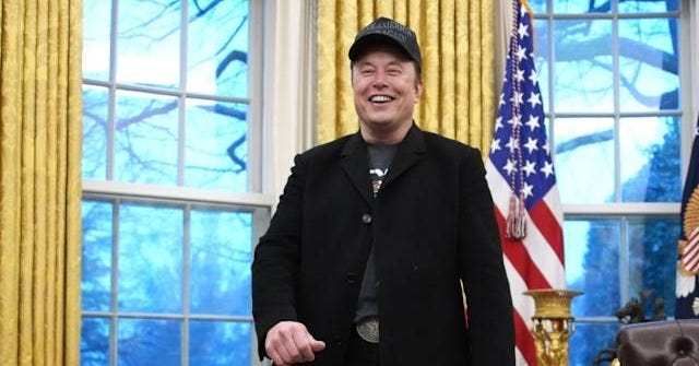 Elon Musk makes bold promise after Tesla profits plummet: '[Will] move the  financial needle in a significant way'