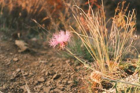 Are this pictures perfect if we do not compare of