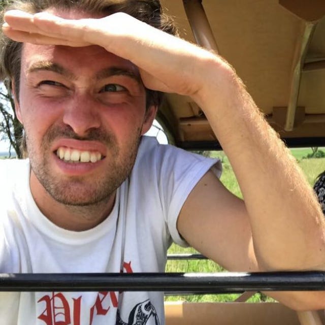 Het gehoemp van de roerdomp