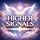 Higher Signals