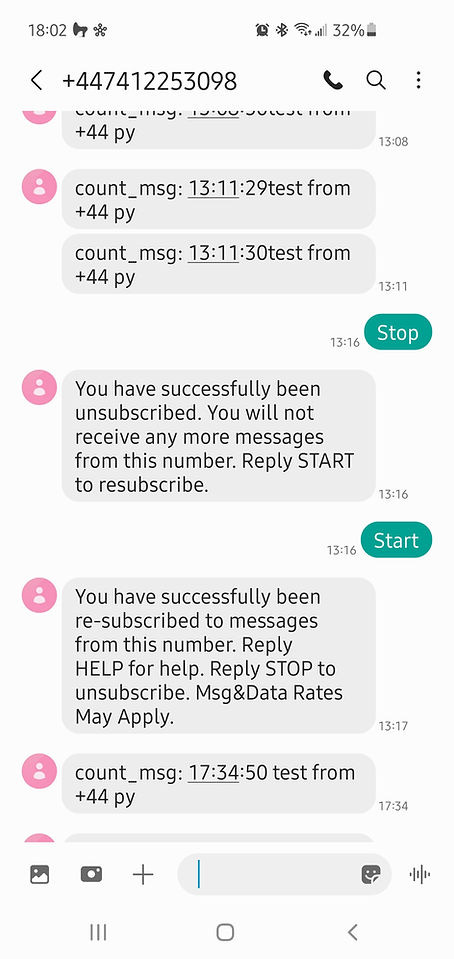 Testing SMS using API.