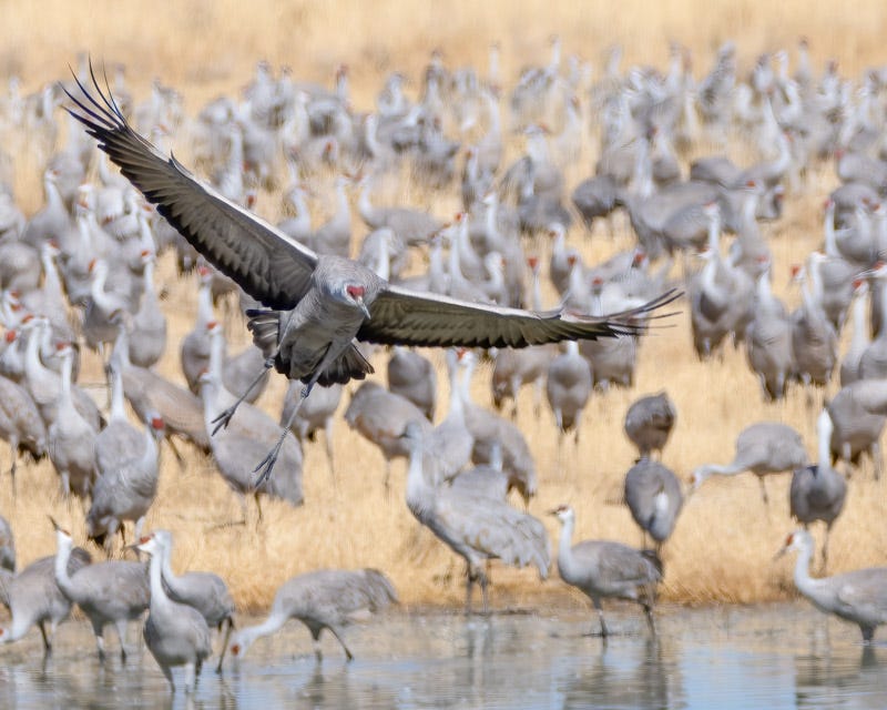 20250128-Willcox-1067-Edit.jpg 20250128-Willcox-1067-Edit.jpg