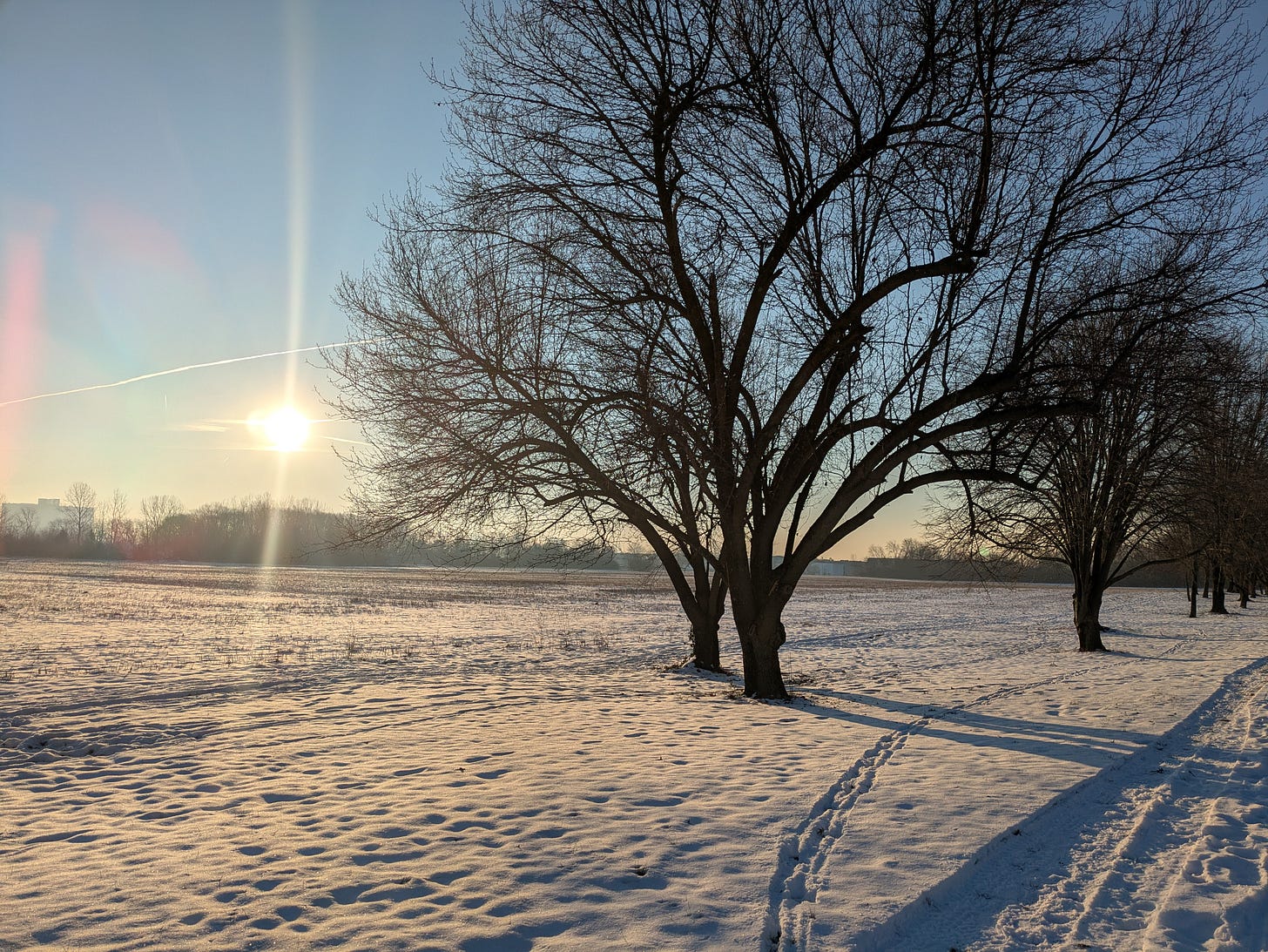 Landscape of trodden snow with the sun coming up in the left and a barren tree on the right of the picture