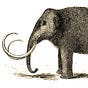 Ellen Wiedner's avatar