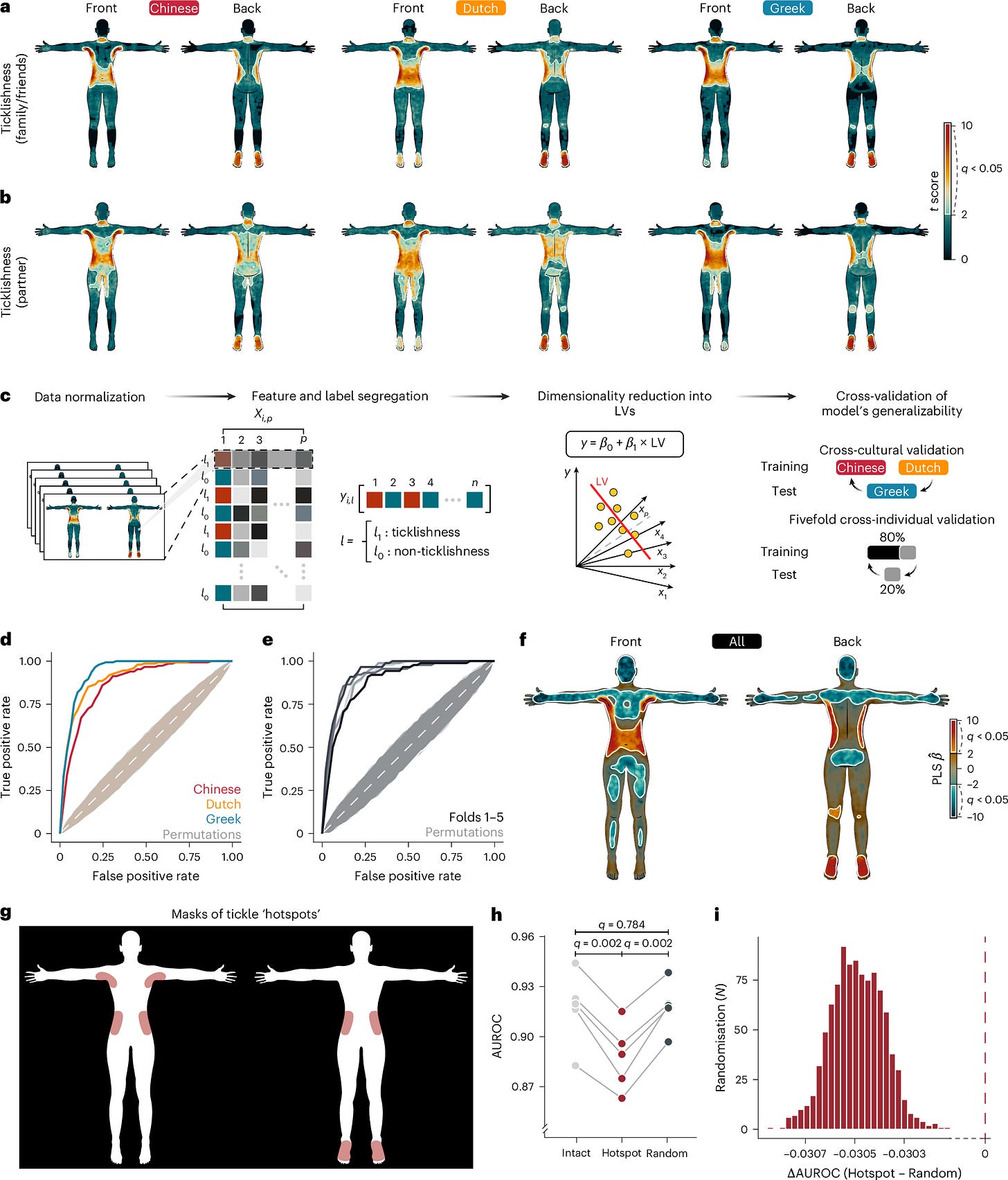 Fig. 2: The bodily topography of ticklishness maps is shared across cultures and individuals. Fig. 2: The bodily topography of ticklishness maps is shared across cultures and individuals.