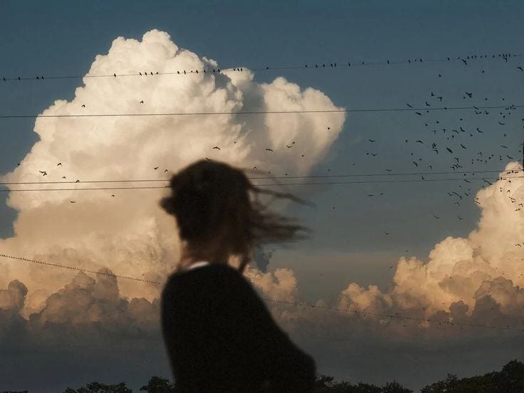 May be an image of bird and cloud May be an image of bird and cloud