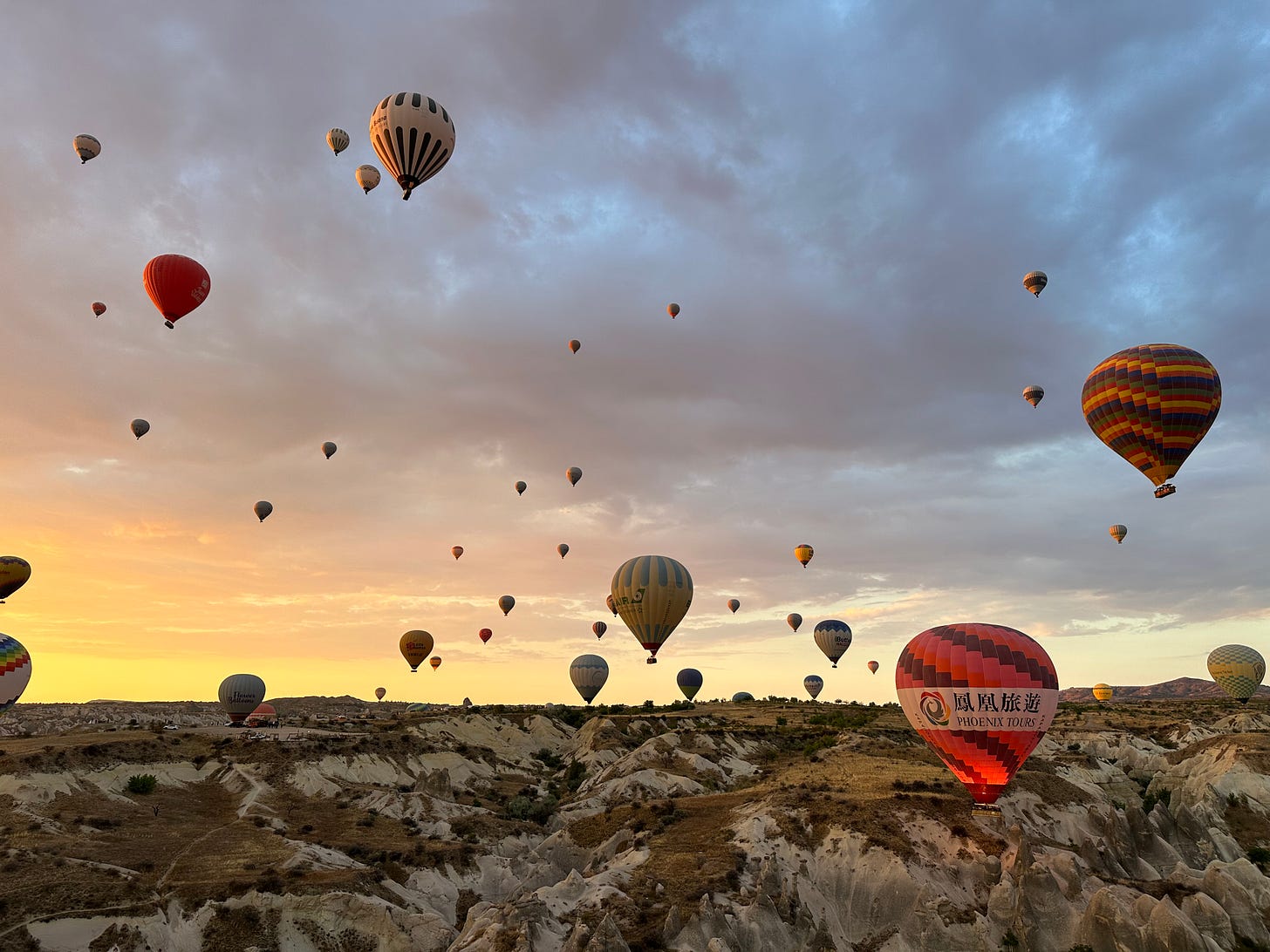 Dozens of hot air balloons in the air at sunrise. 