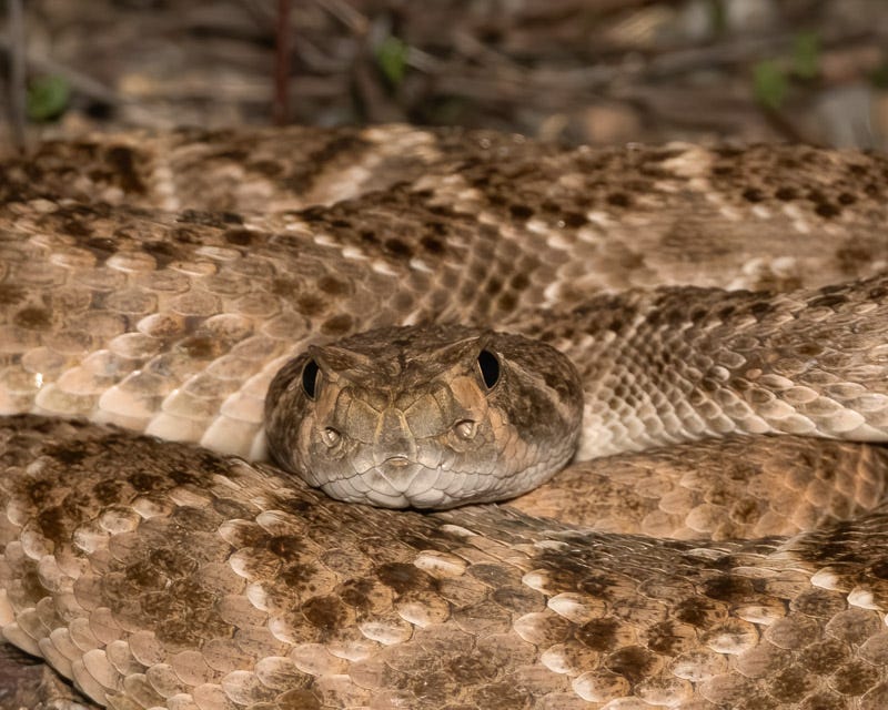 20250722-Sabino-15-Edit.jpg 20250722-Sabino-15-Edit.jpg