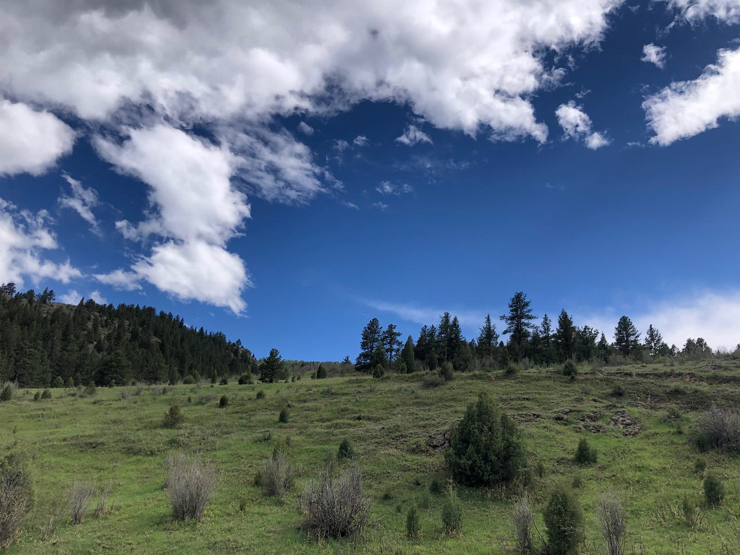 Lair O' The Bear Park, near Denver, Colorado