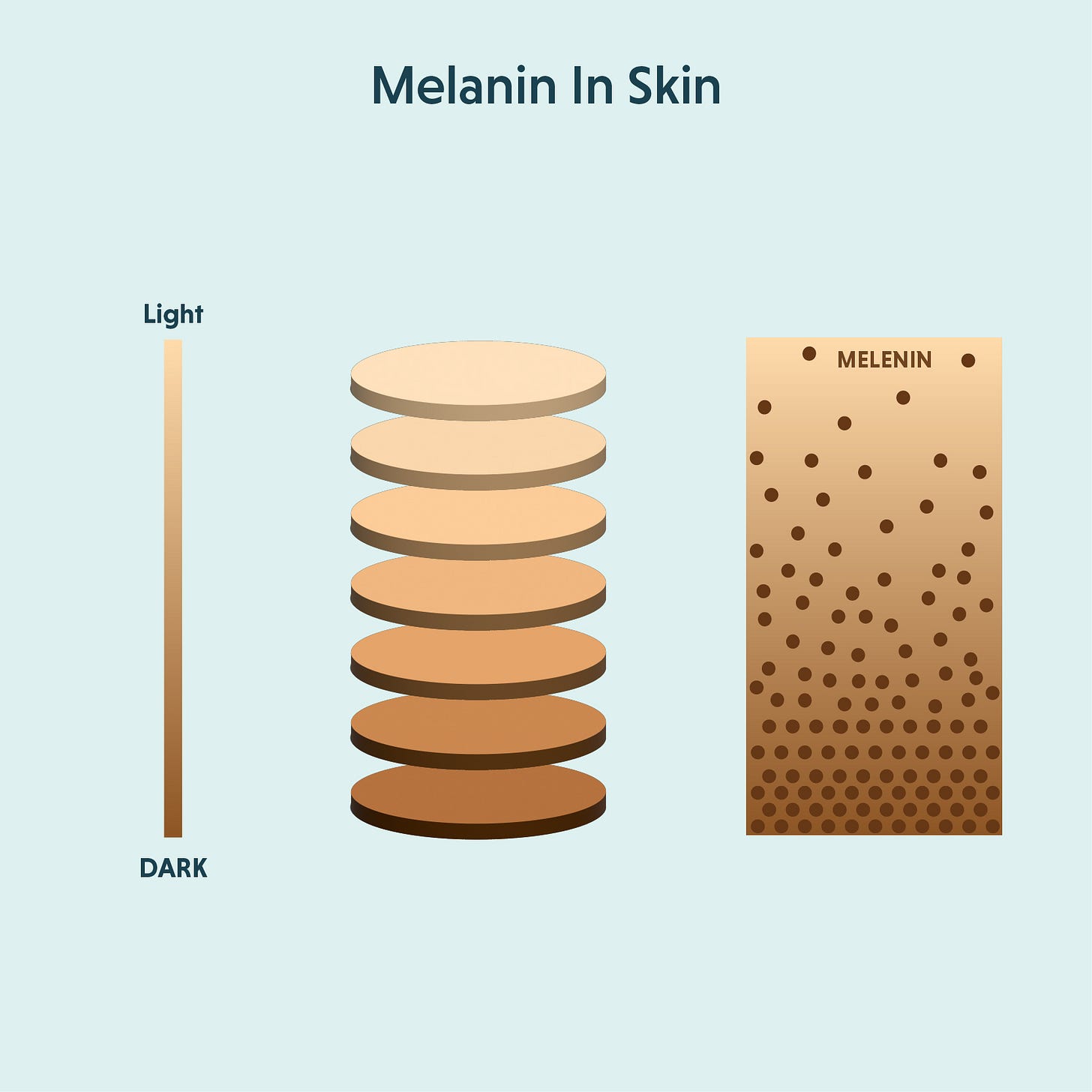 Melanin: Understanding Its Types, Benefits, and Impact on Skin Health
