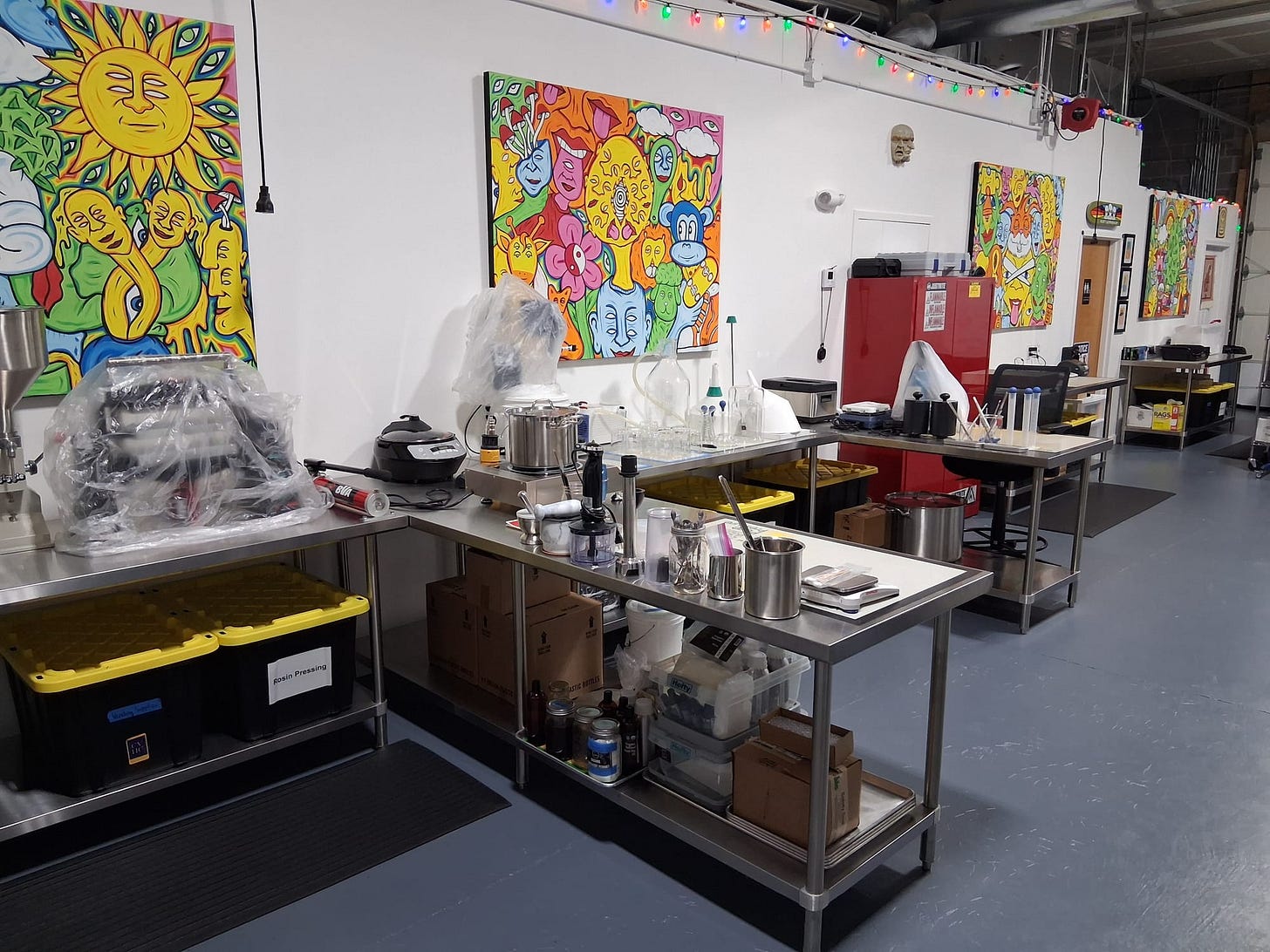 Governor Ban On Hemp Products Removes Consumer Choice, Costs Jobs