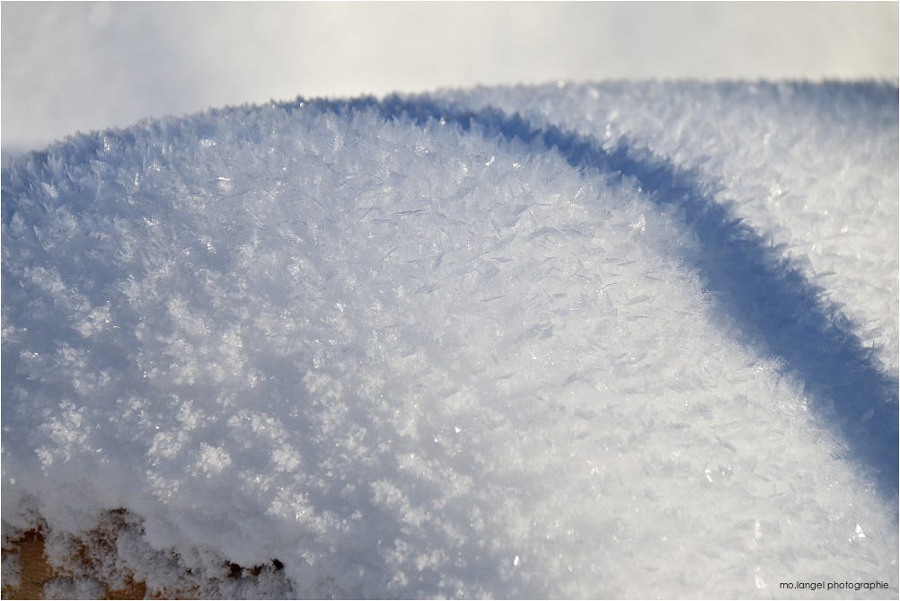 Cristaux de neige