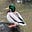 struc_ture's avatar