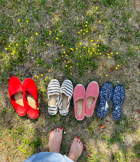 Scenes of a spring garden in the French countryside. Roses, fuchsia, hydrangeas