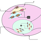 Radical Object-Orientation #0F: The Basic Two Dimensions of Radical Object-Orientation