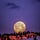 Writing Under the The Full Moon