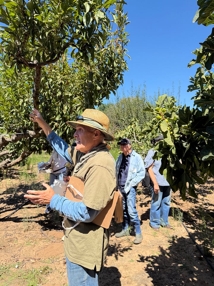 Four photos of tasting and picking fruit at Andy's Orchard in Morgan Hill.