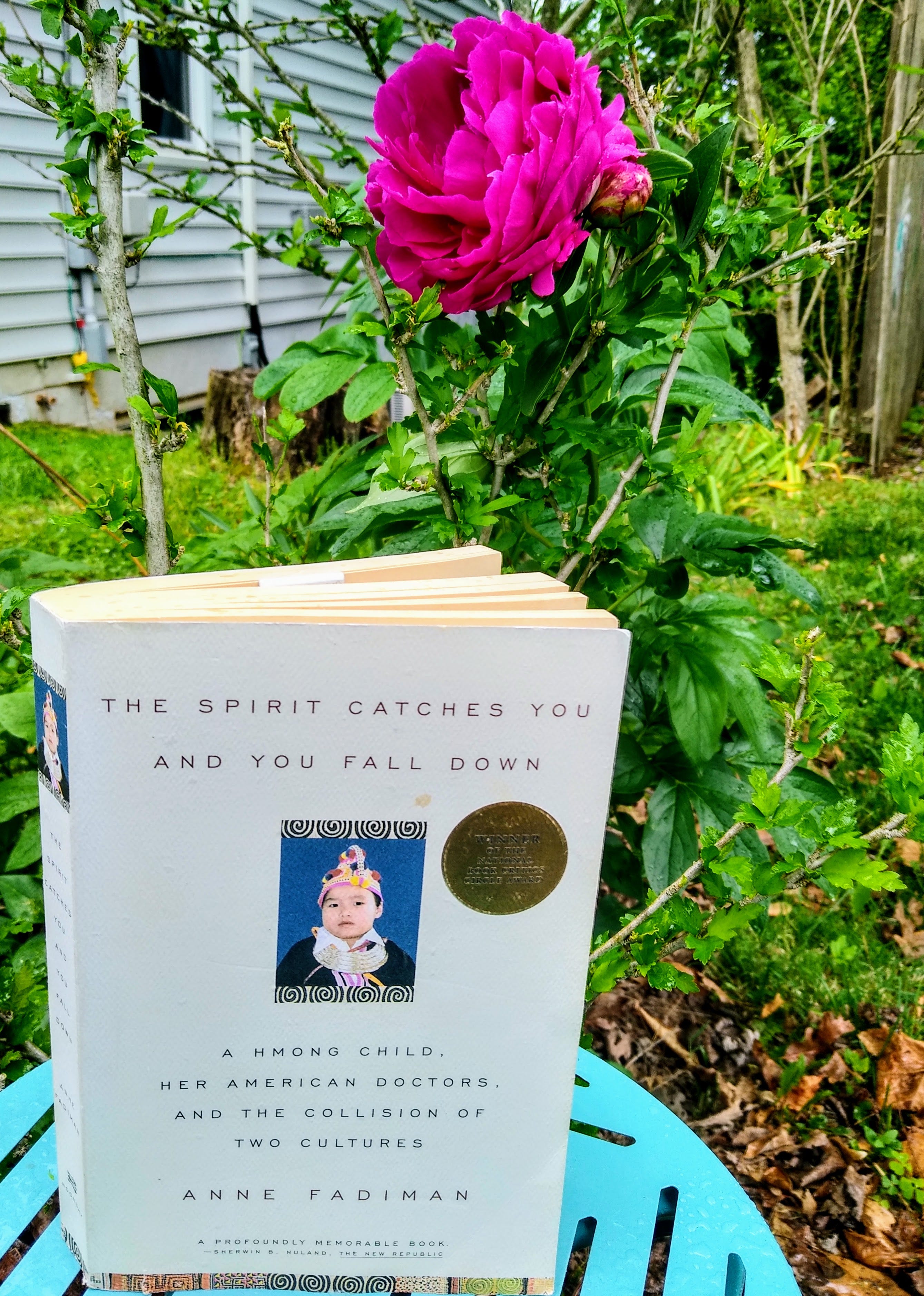 The Spirit Catches You and You Fall Down by Anne Fadiman