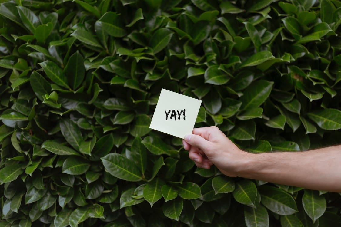 Free Word Printed on a Card Stock Photo Free Word Printed on a Card Stock Photo