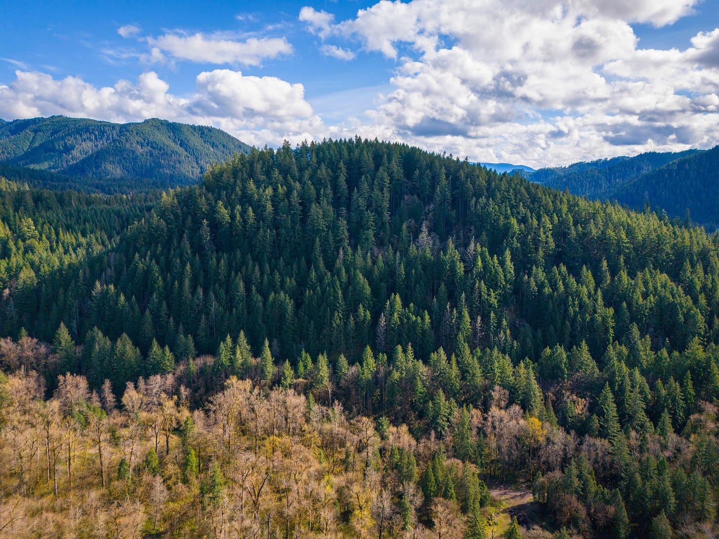 A photo of TV Butte, a summit and iconic backdrop in Oakridge, Oregon. A photo of TV Butte, a summit and iconic backdrop in Oakridge, Oregon.