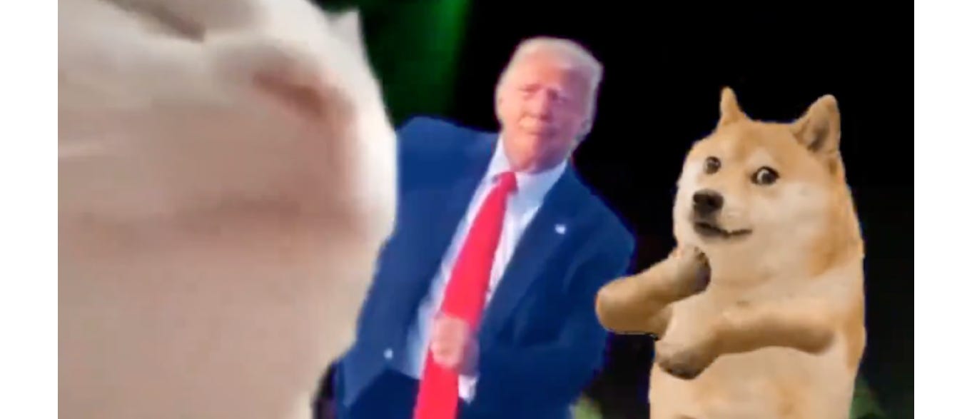 image 7.png image 7.png