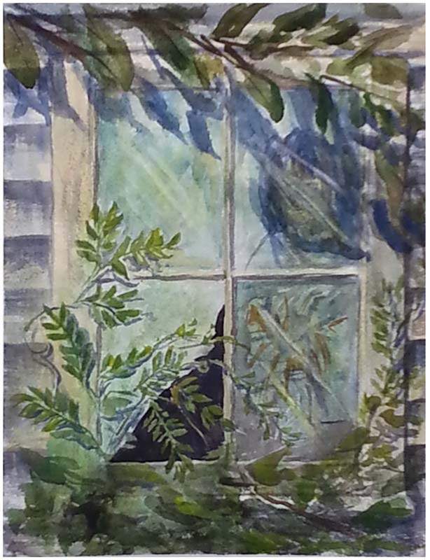 A broken window with vines growing up over it and a possible face behind it. 