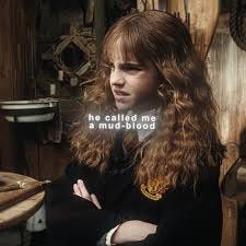 Harry Potter Fan Edit: Hermione's "Mudblood" Pain Harry Potter Fan Edit: Hermione's "Mudblood" Pain