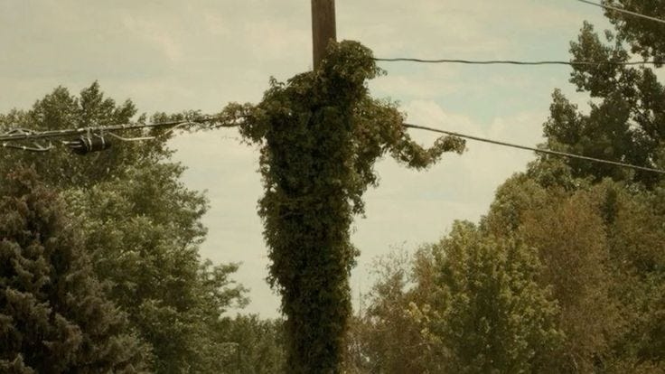 This may contain: a cross covered in vines on the side of a road with power lines above it