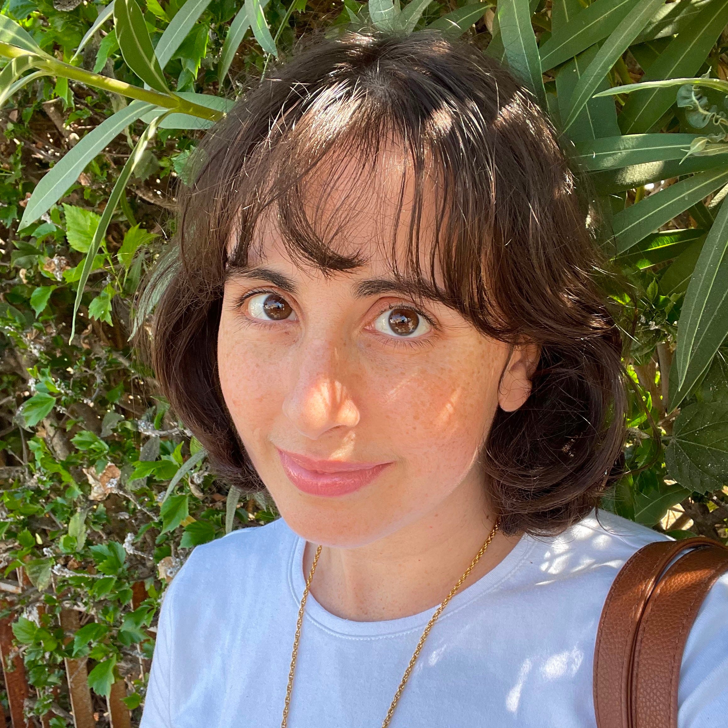 The Israel Daily Digest