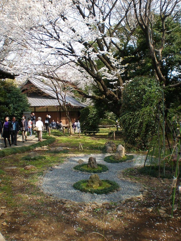 Hanami at the Museum Hanami at the Museum