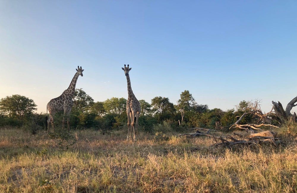 Botswana