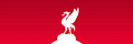 The Liverbird Post