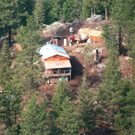 Tiny Cabin