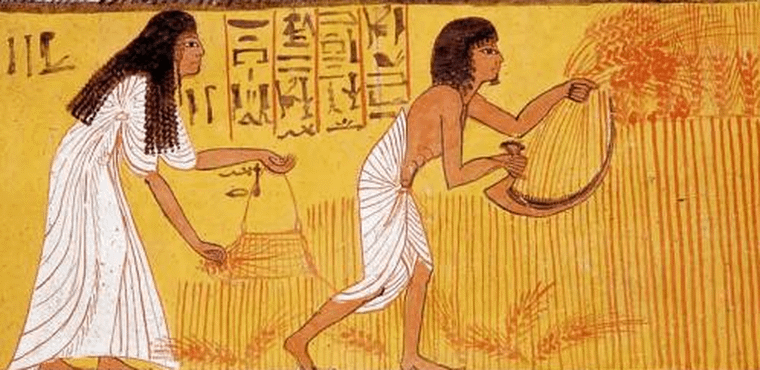 The first ever recorded pregnancy tests were developed by the ancient  Egyptians. In the test, the women would urinate onto the barley or wheat.  If the seeds sprouted quickly, it indicates pregnancy.