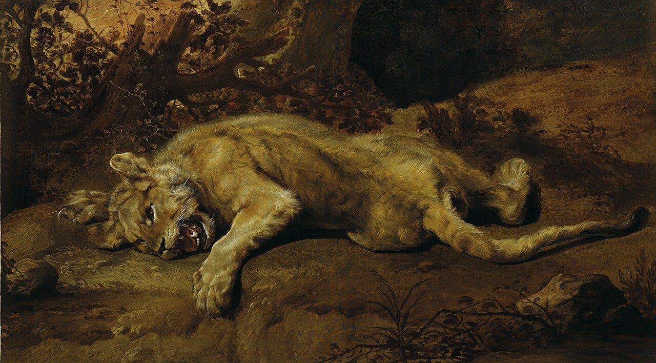Frans Snyders, Lying Lioness, c. 1650. Frans Snyders, Lying Lioness, c. 1650.