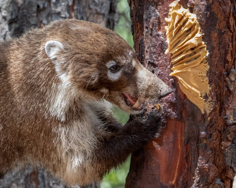 20240623-AZYBC-519-Edit.jpg 20240623-AZYBC-519-Edit.jpg