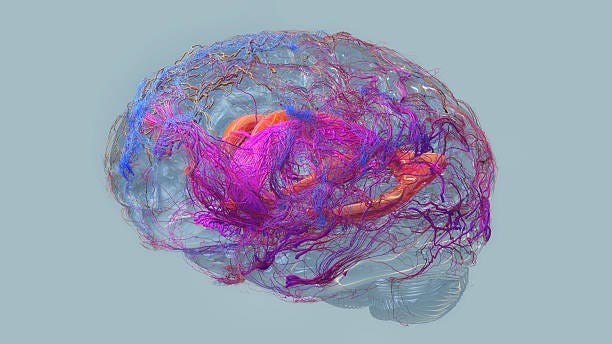 Brain activity Human Brain X-Ray,Neural network,Machine Learning Concepts cell phones and cancer stock pictures, royalty-free photos & images