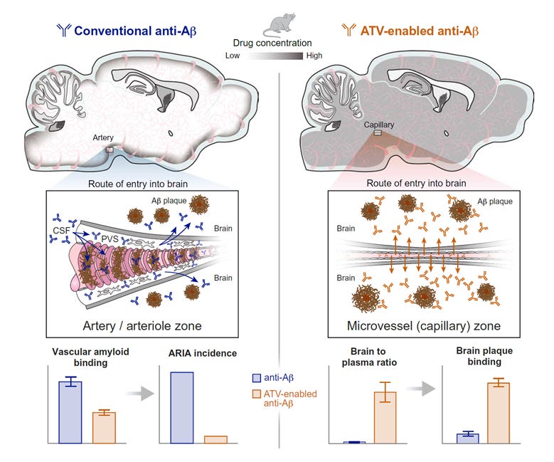A diagram of a brain

AI-generated content may be incorrect.