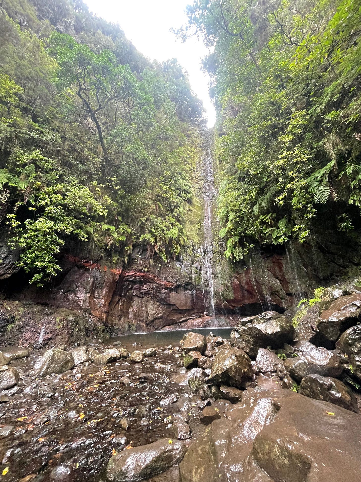 Madeira 2022: Walks & Hikes