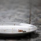 Starvation As Strategy